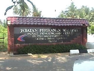 Ismah Beach Resort Masjid Tanah Kültér fotó